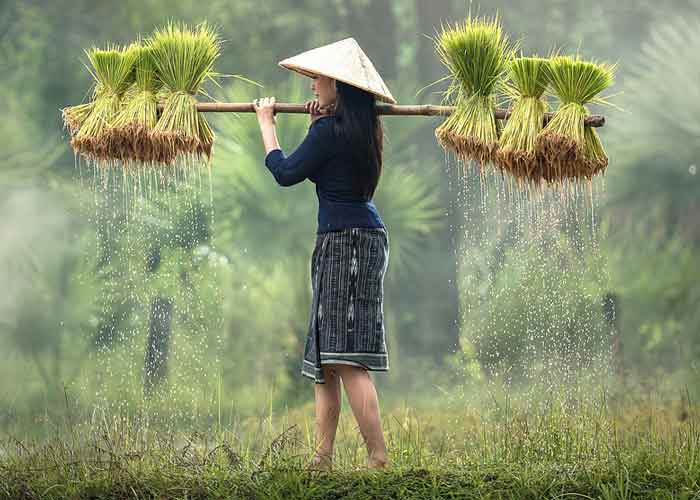 Pflegetipps-ssm Pflegetipps-ssm